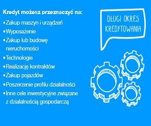 Kredyt inwestycyjny Idea Bank